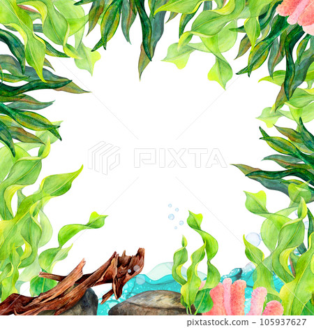 Watercolor drawing frame from dark and light green ribbon algae, laminaria, bottom stones, coral, snags and blue water waves on white background. Underwater set for textile, stickers, card, wallpaper 105937627
