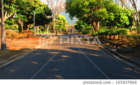 國會南庭前庭風景(東京都千代田區永田町) 國會南庭前庭風景(東京都千代田區永田町) 105937668