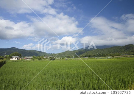 京都五山奧栗美嵯峨野鄉村風景和嵯峨鳥居書曼陀羅山2 105937725