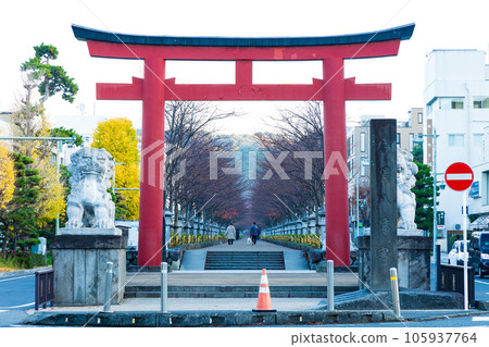 深秋的古都鎌倉、秋色的鶴岡八幡宮、第二鳥居、壇閣 深秋的古都鎌倉、秋色的鶴岡八幡宮、第二鳥居、壇閣 105937764