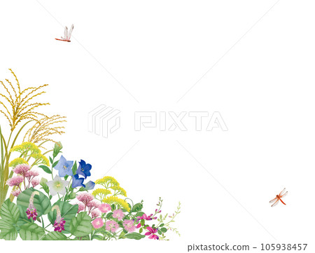 水彩手繪秋天七種草藥 水彩手繪秋天七種草藥 105938457