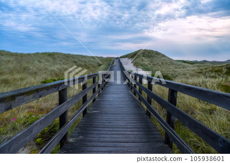 Wooden footpath after rain on Sylt island, Germany Wooden footpath after rain on Sylt island, Germany 105938601