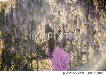 Woman wisteria lilac dress. Thoughtful happy mature woman in purple dress surrounded by chinese wisteria 105942084
