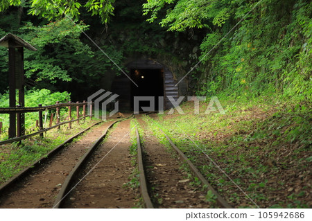 A historic site of the Sado Gold Mine that sleeps quietly in the fresh greenery (Abandoned trolley line for mineral transportation) 105942686