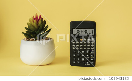 Business term, business phrase on calculator display, phrase is risk by default. Business term, business phrase on calculator display, phrase is risk by default. 105943183