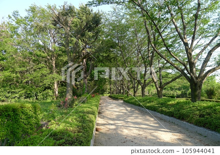 Akayama Jinya Ruins (Kawaguchi City, Saitama Prefecture) 105944041