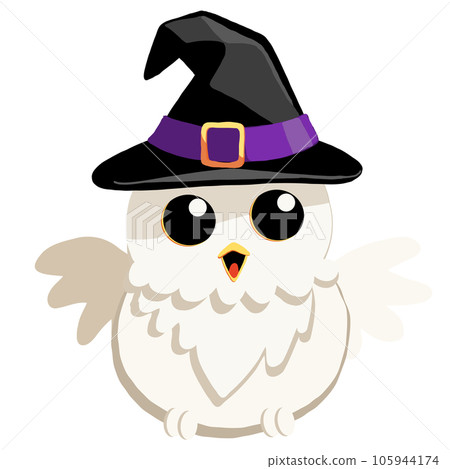 owl with hat owl with hat 105944174