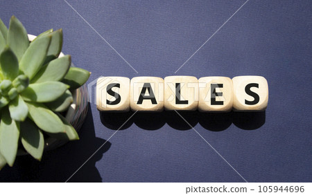 Sales symbol. Concept word Sales on wooden cubes. Beautiful deep blue background with succulent plant. Business and Sales concept. Copy space. Sales symbol. Concept word Sales on wooden cubes. Beautiful deep blue background with succulent plant. Business and Sales concept. Copy space. 105944696