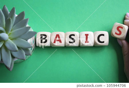 Basics symbol. Concept word Basics on wooden cubes. Businessman hand. Beautiful green background with succulent plant. Business and Basics concept. Copy space. 105944706