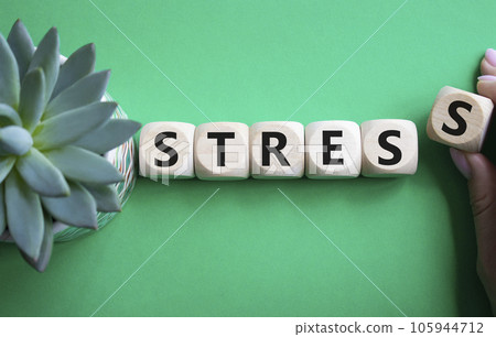 Stress symbol. Concept word Stress on wooden cubes. Businessman hand. Beautiful green background with succulent plant. Medicine and Stress concept. Copy space. Stress symbol. Concept word Stress on wooden cubes. Businessman hand. Beautiful green background with succulent plant. Medicine and Stress concept. Copy space. 105944712