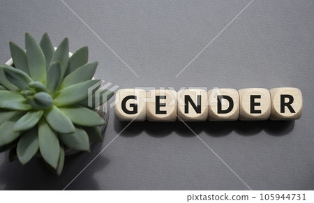 Gender symbol. Concept word Gender on wooden cubes. Beautiful grey background with succulent plant. Business and Gender concept. Copy space. 105944731