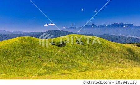 長野縣諏訪市 從霧峰眺望夏季中央阿爾卑斯山的風景 105945116