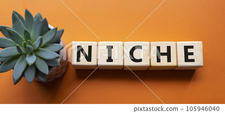 Niche symbol. Concept word Niche on wooden cubes. Beautiful orange background with succulent plant. Business and Niche concept. Copy space. 105946040