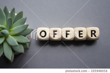 Offer symbol. Wooden cubes with word Offer . Beautiful grey background with succulent plant. Business and Offer concept. Copy space. Offer symbol. Wooden cubes with word Offer . Beautiful grey background with succulent plant. Business and Offer concept. Copy space. 105946058