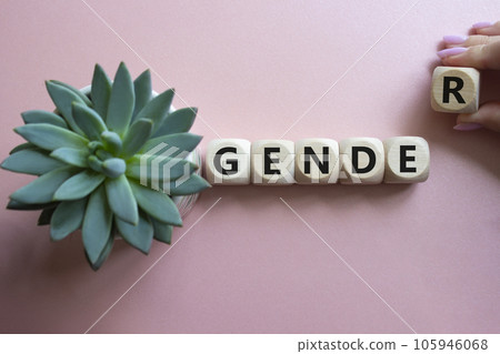 Gender symbol. Concept word Gender on wooden cubes. Businessman hand. Beautiful pink background with succulent plant. Business and Gender concept. Copy space. Gender symbol. Concept word Gender on wooden cubes. Businessman hand. Beautiful pink background with succulent plant. Business and Gender concept. Copy space. 105946068