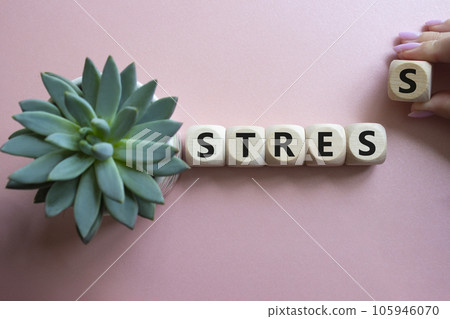 Stress symbol. Concept word Stress on wooden cubes. Businessman hand. Beautiful pink background with succulent plant. Medicine and Stress concept. Copy space. Stress symbol. Concept word Stress on wooden cubes. Businessman hand. Beautiful pink background with succulent plant. Medicine and Stress concept. Copy space. 105946070