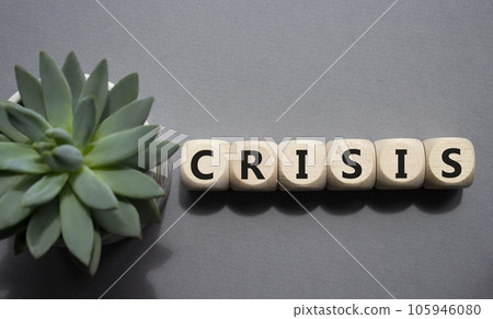 Crisis symbol. Concept word Crisis on wooden cubes. Beautiful grey background with succulent plant. Business and Crisis concept. Copy space. Crisis symbol. Concept word Crisis on wooden cubes. Beautiful grey background with succulent plant. Business and Crisis concept. Copy space. 105946080