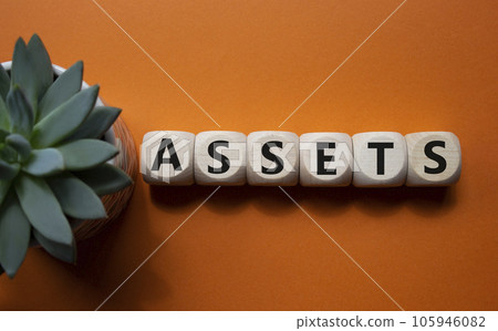 Assets symbol. Concept word Assets on wooden cubes. Beautiful orange background with succulent plant. Business and Assets concept. Copy space. Assets symbol. Concept word Assets on wooden cubes. Beautiful orange background with succulent plant. Business and Assets concept. Copy space. 105946082