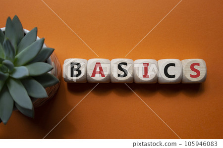 Basics symbol. Concept word Basics on wooden cubes. Beautiful orange background with succulent plant. Business and Basics concept. Copy space. 105946083