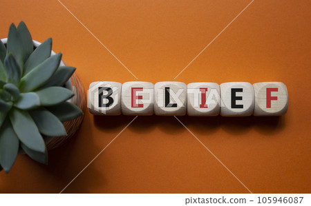 Belief symbol. Concept word Belief on wooden cubes. Beautiful orange background with succulent plant. Business and Belief concept. Copy space. 105946087