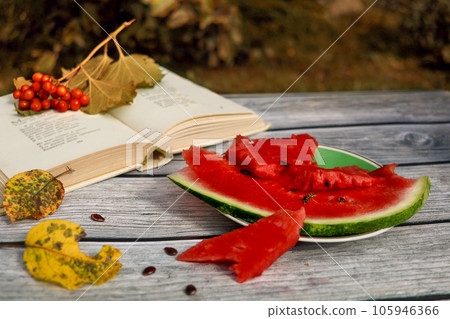 Still life with piece of juicy delicious watermelon, book and fall leaves on wooden table in garden 105946366
