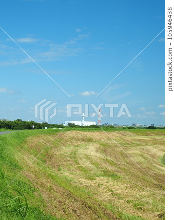 夏天從雜草叢生的河岸看到的江戶川河床風景 夏天從雜草叢生的河岸看到的江戶川河床風景 105946438