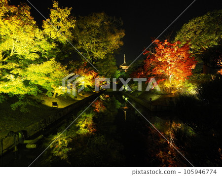 Autumn leaves lit up Autumn leaves lit up 105946774