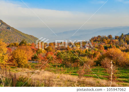 Autumn landscape in Greece  mountains 105947062