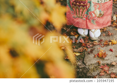 Kimono with autumn leaves in the background 105947195