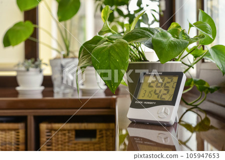 Thermometer hygrometer measuring the optimum temperature and humidity in a house 105947653