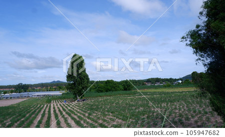 Banchang district 105947682