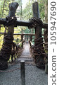 Cross the Iya Kazura Bridge 105947690