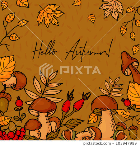 Hello, Autumn. Autumn square banner template. Red berry mountain ash and wild rose, forest mushrooms, chestnuts and acorns with leaves on brown background. Vector illustration for fall design. Hello, Autumn. Autumn square banner template. Red berry mountain ash and wild rose, forest mushrooms, chestnuts and acorns with leaves on brown background. Vector illustration for fall design. 105947989