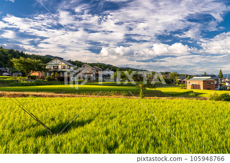 "Niigata Prefecture" summer rural scenery, Minamiuonuma "Niigata Prefecture" summer rural scenery, Minamiuonuma 105948766
