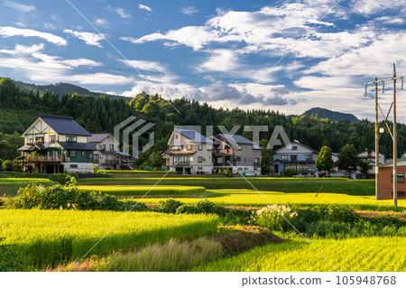 "Niigata Prefecture" summer rural scenery, Minamiuonuma 105948768