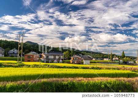 “新潟縣”夏季田園風光、南魚沼 105948773