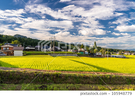 “新潟縣”夏季田園風光、南魚沼 105948779