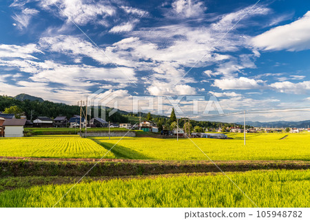 “新潟縣”夏季田園風光、南魚沼 “新潟縣”夏季田園風光、南魚沼 105948782