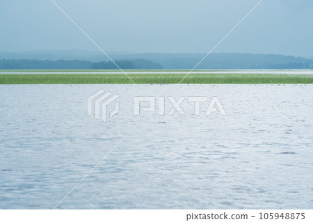 natural landscape, vast shallow lake with reed banks on a rainy day natural landscape, vast shallow lake with reed banks on a rainy day 105948875