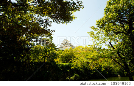 透過樹林看到姬路城 105949163