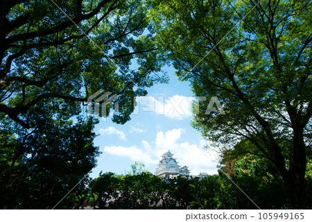 World Cultural Heritage Himeji Castle World Cultural Heritage Himeji Castle 105949165