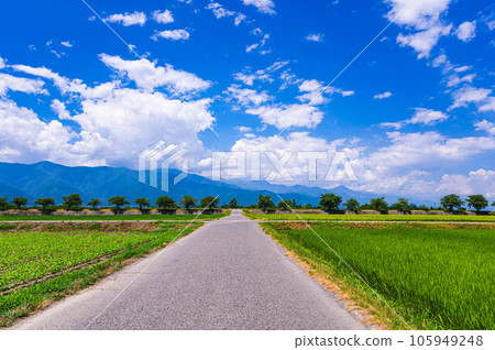 夏季的梓川河畔和松本市的田園風光 夏季的梓川河畔和松本市的田園風光 105949248