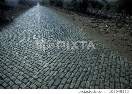 AFRICA CAPE VERDE SANTO ANTAO STONE ROAD 105949323