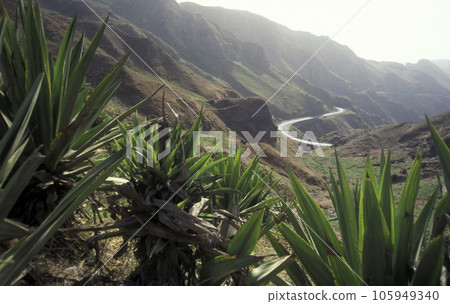AFRICA CAPE VERDE SANTO ANTAO AFRICA CAPE VERDE SANTO ANTAO 105949340