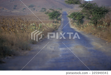AFRICA CAPE VERDE SANTO ANTAO AFRICA CAPE VERDE SANTO ANTAO 105949341