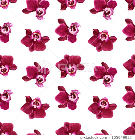 Watercolor seamless pattern with tropical flower orchid Phalaenopsis blooms. For wrapping, wallpaper, fabric, textile 105949933