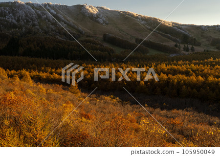 秋葉和遠山 秋葉和遠山 105950049