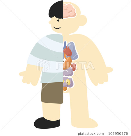 organ human bady cartoon organ human bady cartoon 105950376