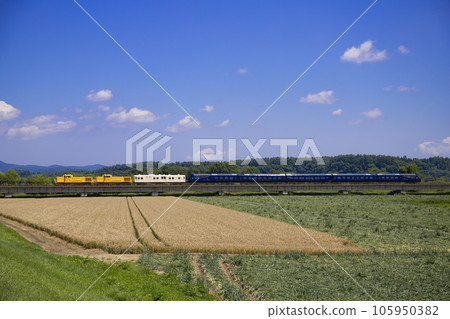 運行在北海道藍天上的皇家快車 運行在北海道藍天上的皇家快車 105950382