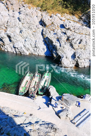 [德島縣] 紅葉（大步危、小步危） 105951050